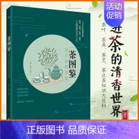 [正版]生活-茶图鉴 从识茶到品茶 康菲 陈美珍 茶叶书籍大全 一本书品鉴世界名茶 识茶泡茶品茶 茶知识大百科茶叶茶具茶