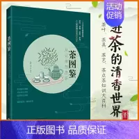 [正版]生活-茶图鉴 从识茶到品茶 康菲 陈美珍 茶叶书籍大全 一本书品鉴世界名茶 识茶泡茶品茶 茶知识大百科茶叶茶具茶