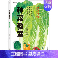 [正版]种菜教室 花山文艺出版社 (日)板木利隆 著 曾磊,张艳辉 译 生活百科书籍