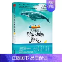 [正版]我和我的动物朋友3 写给青少年的动物冒险书一套动物生活百科全书满足孩子对动物的想象