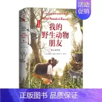 [正版]正邮 我的动物朋友4传说 欧内斯特·汤普森·西顿 动物生活百科全书 完整呈现动物的残酷与真实的生存法则