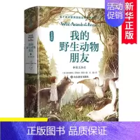 [正版]我的动物朋友2狼王洛波 欧内斯特汤普森西顿 动物生活百科全书 作家曹文轩沈石溪等感动书籍 儿童动物百科书