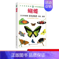 [正版] 大自然博物馆百科珍藏图鉴系列蝴蝶 青少年中小学生动植物科普百科全书生活环境习性繁殖特点知识大全凤蝶袖蝶粉蝶种类