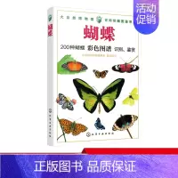 [正版] 大自然博物馆百科珍藏图鉴系列蝴蝶 青少年中小学生动植物科普百科全书生活环境习性繁殖特点知识大全凤蝶袖蝶粉蝶种类