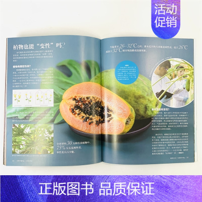 植物私生活 [正版]植物私生活 葛斌杰 等 著 科普百科少儿 书店图书籍 少年儿童出版社