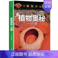 [正版]孩子喜爱的百科全书 我喜欢的第一本百科全书科学奥秘天文地理植物生活常识人体动物奥秘一点通 中国青少年版科普读物