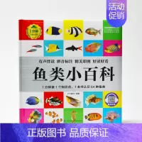 鱼类小百科 [正版]1分钟儿童小百科 小学生科普知识书 拼音标注动物 地理 科学 历史 科技 生活科普知识注音版 百科全