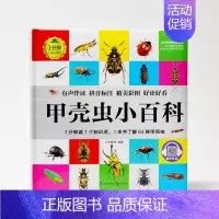 甲壳虫小百科 [正版]1分钟儿童小百科 小学生科普知识书 拼音标注动物 地理 科学 历史 科技 生活科普知识注音版 百科