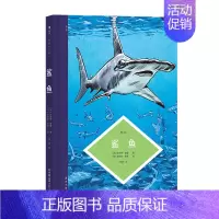 [正版] 图文小百科:鲨鱼 带你了解鲨鱼的进化过程、形态特征和生活习性 漫画 图像小说