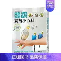 [正版]预 售鸟类专科兽医监修!鹦鹉饲育小百科:从饲育、训练到与鹦鹉相伴一生 台版原版中文繁体居家生活 滨本麻衣