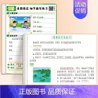 二升三看图写话衔接+看图写话练习 [正版]看图写话一二年级专项训练人教说话填空字帖上册语文同步练字帖小学生大全本子练习纸