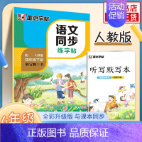 [4年级下]语文同步练字帖 [正版]2024春字帖语文同步练字帖写字同步练习册 一二三四五六年级上下册正楷小学生人教版描