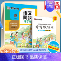 [5年级上]语文同步练字帖 [正版]2024春字帖语文同步练字帖写字同步练习册 一二三四五六年级上下册正楷小学生人教版描