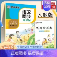 [5年级下]语文同步练字帖 [正版]2024春字帖语文同步练字帖写字同步练习册 一二三四五六年级上下册正楷小学生人教版描