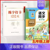 楷书+语文同步练字帖(五年级上) [正版]中国好字帖 练字打卡100天楷书行楷行书教程12345678年级上下册中小学生