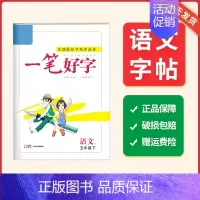 五年级语文_下册 [正版]2024春名校课堂小学生语文练字帖一二三四五六年级上下册笔画笔顺练字控笔训练硬笔楷书非描摹纸描