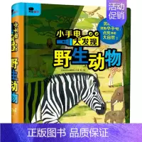 小手电大发现(野生动物) 单册 [正版]小手电大发现儿童神奇魔法手电筒科普书幼儿园宝宝动物植物早教认知启蒙书籍小学生好玩