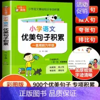 [单册]小学语文优美句子积累 小学通用 [正版]小学语文优美句子积累大全一二三四五六年级小学生好词好句好段作文素材专项训