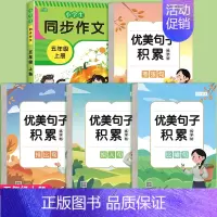 [共5本]优美句子字帖+五年级上同步作文 [正版]优美句子积累字帖大全小学生练字帖每日一练好词好句好段正楷写字二三四五年