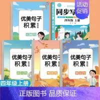 [共5本]优美句子字帖+四年级上册字帖 [正版]优美句子积累字帖大全小学生练字帖每日一练好词好句好段正楷写字二三四五年级