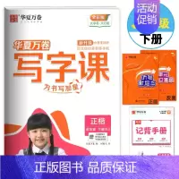 五年级下册全彩版 [正版]2024新版 写字课广东版一二三四五六年级上下册语文全彩大开版同步字帖人教版统编版 小学生同步