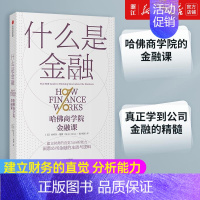 [正版]书店什么是金融 建立财务的直觉 财务分析能力 金融世界运作 案头应备的理论与操作指南 书籍