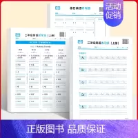 [三年级上册]英语默写纸+练习纸+听写纸(全3册) [正版]荣恒3-6年级上册英语听写练习默写手撕字帖 规范字体巩固知识