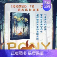 奇迹小马 [正版]奇迹小马 奇迹男孩作者R.J.帕拉西奥 著 小学生三四五六年级课外阅读书籍 浙江暑期暑假阅读书目儿童青