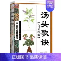 经典著作--汤头歌诀白话精解 [正版]全套5册 中医推拿按摩书 零基础学推拿学拔罐学刮痧学艾灸 养生书籍大全穴位图人体经