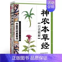经典著作--神农本草经白话精解 [正版]全套5册 中医推拿按摩书 零基础学推拿学拔罐学刮痧学艾灸 养生书籍大全穴位图人体