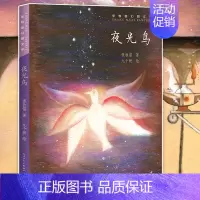 夜光鸟 [正版]夜光鸟 张牧笛著 百班千人2021年共读推 荐 儿童幻想文学科学想象力童话故事书 三四五六年级小学生课外