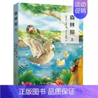 森林报夏 [正版] 森林报春夏秋冬共4册 比安基著沈念驹姚锦镕翻译 小学生三四五六年级课外阅读书籍经典科普名著小说安