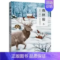 森林报冬 [正版] 森林报春夏秋冬共4册 比安基著沈念驹姚锦镕翻译 小学生三四五六年级课外阅读书籍经典科普名著小说安