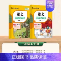 一年级(上+下册) [正版]小学语文同步练字帖写字课一年级二字帖下册上小学生练字帖三年级四五六正楷儿童描红临写临摹练字人