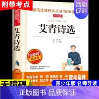 艾青诗选 [正版]繁星春水 冰心四年级下册阅读课外书必读的小学生现代诗儿童文学全集诗歌现代诗集大全散文读本散文集精选小学