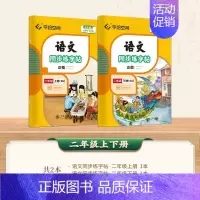 二年级(上+下册) [正版]小学语文同步练字帖写字课一年级二字帖下册上小学生练字帖三年级四五六正楷儿童描红临写临摹练字人