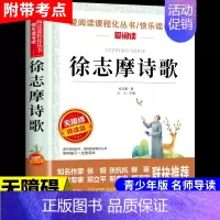 徐志摩诗歌 [正版]繁星春水 冰心四年级下册阅读课外书必读的小学生现代诗儿童文学全集诗歌现代诗集大全散文读本散文集精选小