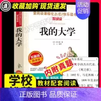 [29元任选3件]我的大学 [正版]爱丽丝漫游奇境记原著书小学生课外阅读书籍三四五年级读物快乐读书吧六年级下册必经典书目