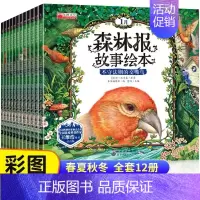 森林报故事绘本[全套12册] [正版]全国获奖绘本8册儿童绘本故事书3-6岁 绘图故事本幼儿园 小班中大班亲子阅读图书4