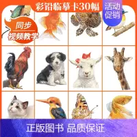 [正版]彩铅临摹卡动物篇2022一线美誉步骤对应美术绘画卡片兴趣高清原创
