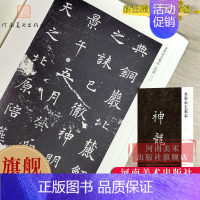 隋杨纪墓志 [正版]旗舰永泰公主墓志铭墓志-新出隋唐碑志精编 唐代楷书小楷毛笔书法碑帖临习临摹鉴赏范本书籍河南美术出版社