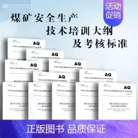 [组10]煤矿安全生产技术培训大纲及考核标准 [正版]AQ1055-2018 煤矿建设项目安全设施设计审查和竣工验收规范