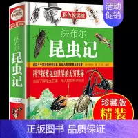 [精装珍藏版]法布尔昆虫记 非注音 [正版]昆虫记法布尔原著完整版 小学生三年级至四五六上册下册阅读课外书必读的书目幼儿