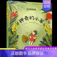 [正版]神奇的小草 精装 科学家的故事 诺贝尔奖获得者屠呦呦的励志成长故事 3-9岁儿童阅读中国原创图画书 儿童性格培养