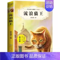 流浪猫王 [正版] 流浪猫王 中外动物小说精品升级版非注音 沈石溪著 7-8-9-12周岁儿童文学三四五六年级小学生课外