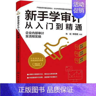 [正版]新手学审计从入门到精通:企业内部审计全流程实操朱虹普通大众企业内部计基本知识经济书籍