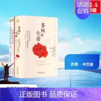 [正版]卡巴金心理学作品集(全3册) (美)乔恩·卡巴金 等 机械工业出版社 图书书籍