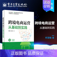[正版] 跨境电商运营从基础到实践 柯丽敏 国际贸易 交易流程 商业模式 规避风险 电子商务经管励志书籍