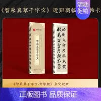 [原帖版]⑨智永真草千字文(128页2048字)无视频 [正版]近距离临摹字卡颜真卿多宝塔碑颜勤礼碑楷书 欧阳询楷书九成