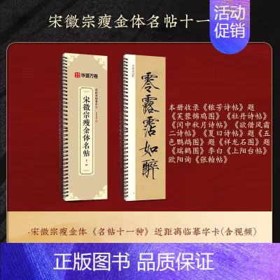 [原帖版]⑫瘦金体-宋徽宗名帖11种(141页) [正版]近距离临摹字卡颜真卿多宝塔碑颜勤礼碑楷书 欧阳询楷书九成宫醴泉
